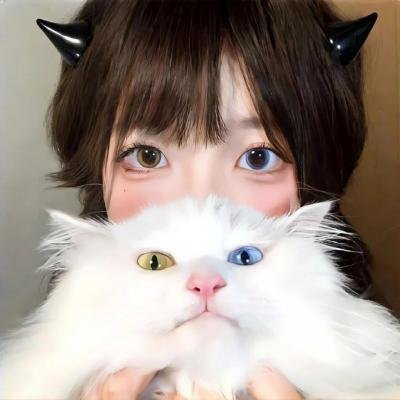 电表人生